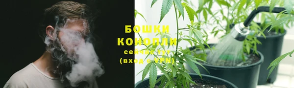 ГАЛЛЮЦИНОГЕННЫЕ ГРИБЫ Нефтекумск