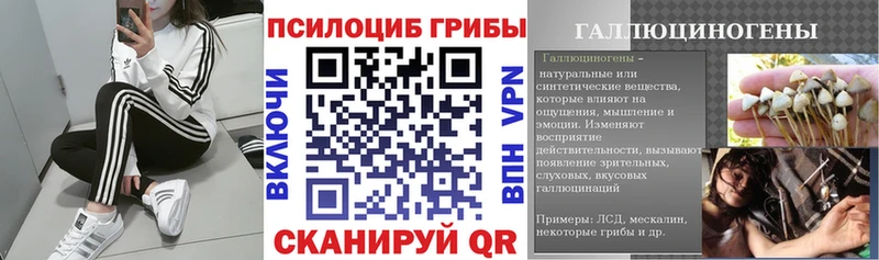 Псилоцибиновые грибы GOLDEN TEACHER  Югорск 