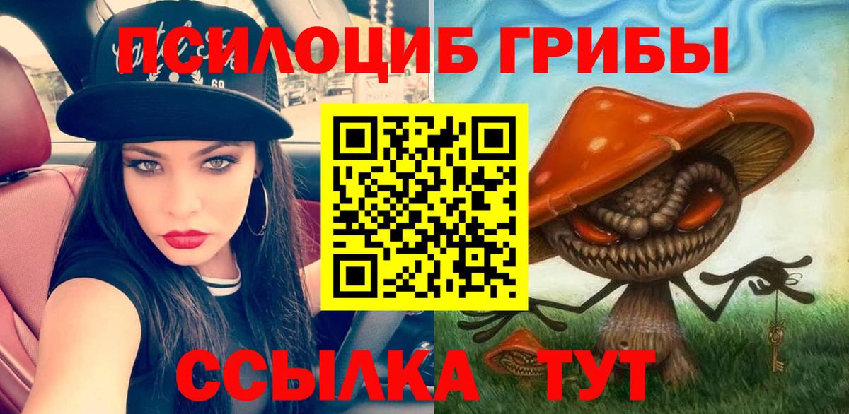 Псилоцибиновые грибы Psilocybine cubensis Югорск