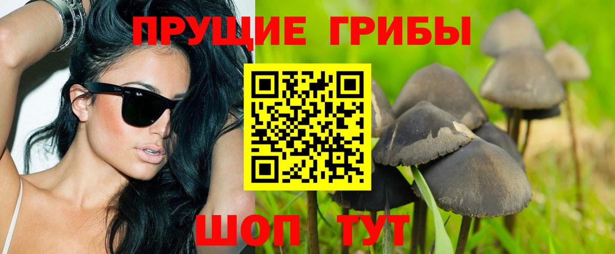 Псилоцибиновые грибы мухоморы  Вход с VPN  Югорск  Псилоцибиновые грибы мухоморы 